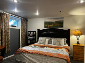 hidden valley new basement suite with private bathroom!